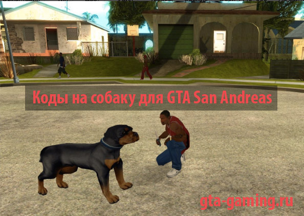 Коды ГТА: Сан Андреас на собаку
